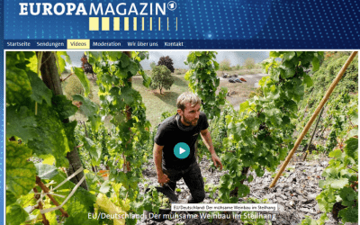 Pénibilité du travail des vignerons dans les vignobles en forte pente