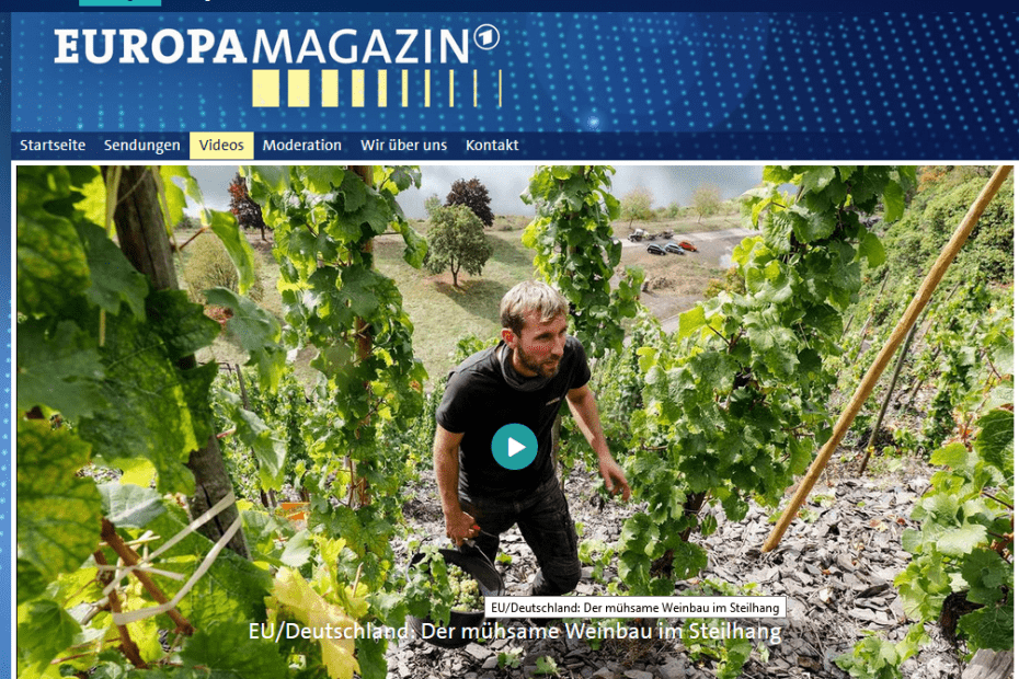 Pénibilité du travail des vignerons dans les vignobles en forte pente