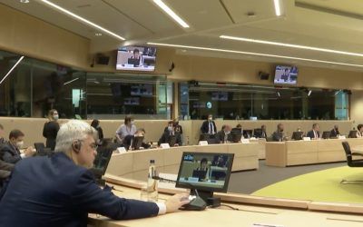 CONSEIL AGRIFISH : Des progrès sur la PAC et des incertitudes pour le secteur vitivinicole en crise