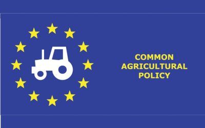 Fondo Único y futuro de la PAC: AREV alerta sobre un giro preocupante para la agricultura europea