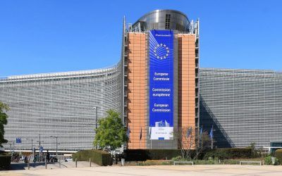 La AREV rechaza el desmarque unilateral de Irlanda en su política de etiquetado del vino