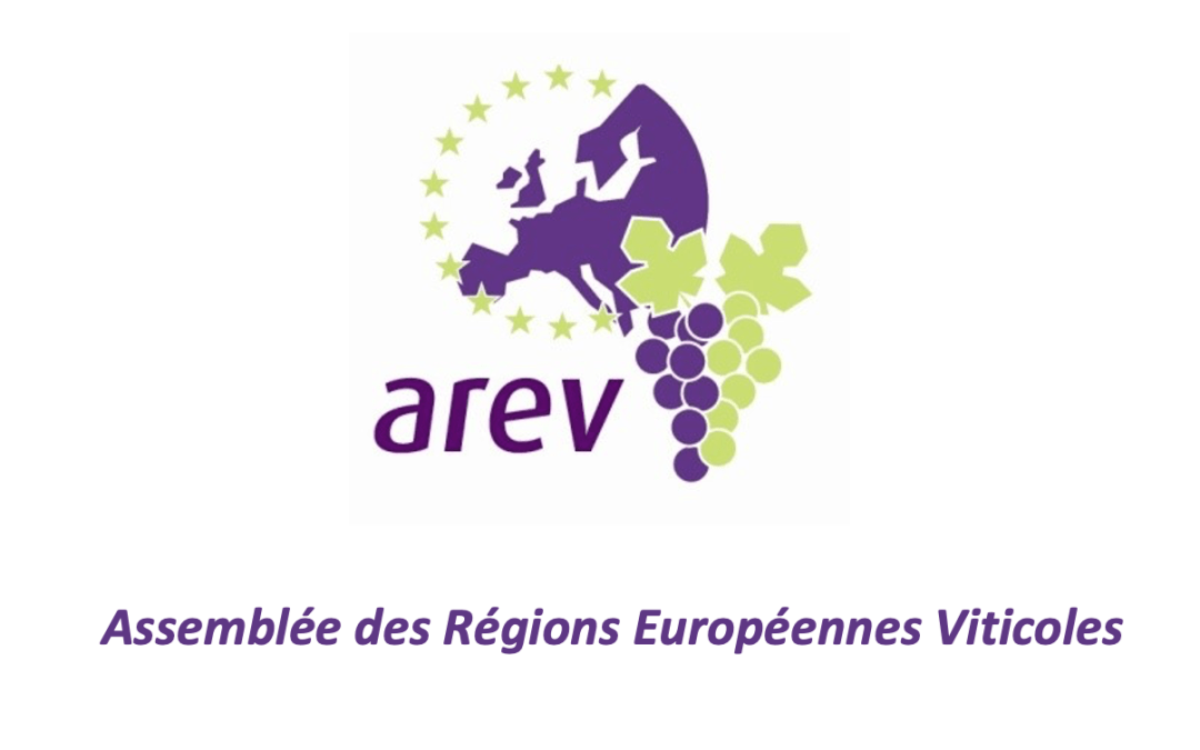 Manifiesto de la AREV: por un sector vitivinícola europeo fuerte y sostenible.