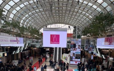 En vísperas de PROWEIN, la AREV llama a la acción urgente para afrontar los desafíos de la Viticultura Europea