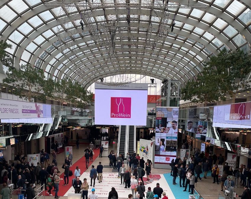 En vísperas de PROWEIN, la AREV llama a la acción urgente para afrontar los desafíos de la Viticultura Europea